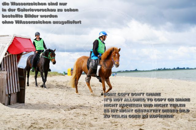 s_K3F05151.JPG